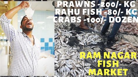 fish online hyderabad|Live Fish Mart, HYDERABAD .